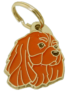 Cavalier king Charles spaniel rubi <br> (placa de identificação para cães, Gravado incluído)